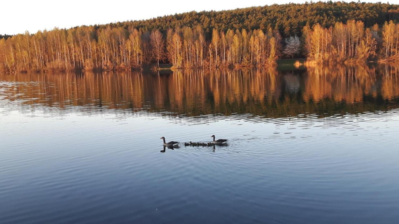 Ferienwohnung Schwalbennest Am Igelsbachsee Absberg Exteriér fotografie